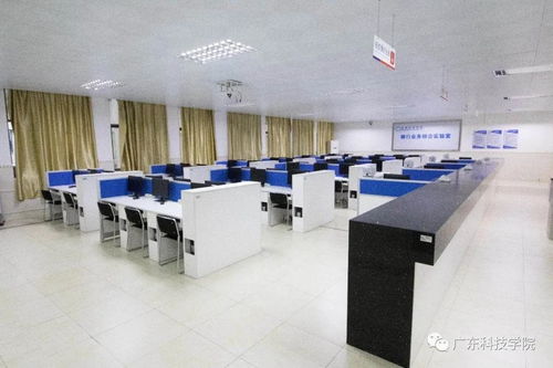 广东科技学院41个本科专业巡礼 科技中介服务专业深度解析